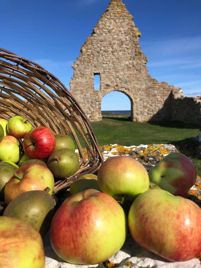 Bo I Egen Stuga Pa Haerlig Oelandsgard Kopingsvik Bagian luar foto