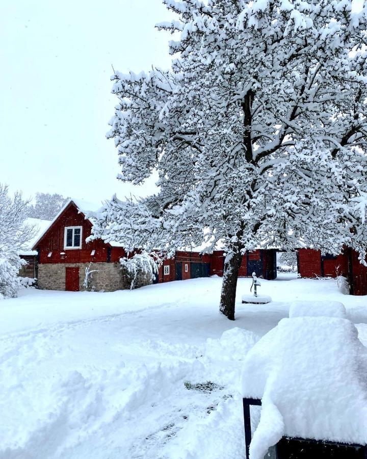 Bo I Egen Stuga Pa Haerlig Oelandsgard Kopingsvik Bagian luar foto